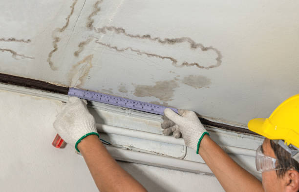 Reliable Water Damage contractor in Curlew, WA by Water Damage Irwin
